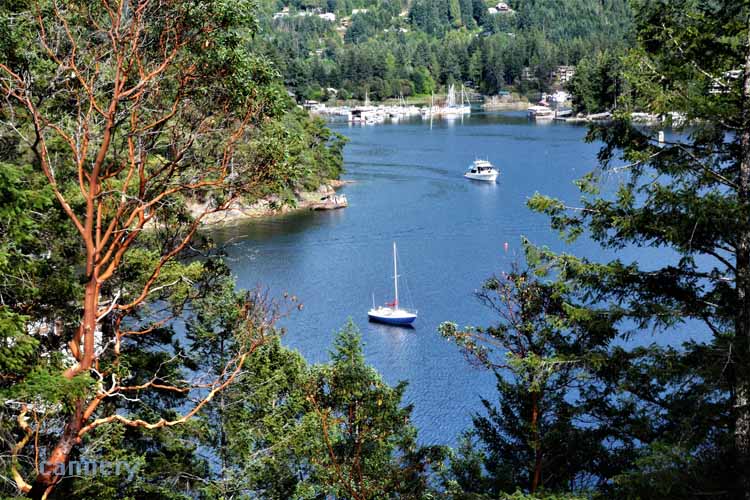 bay scene